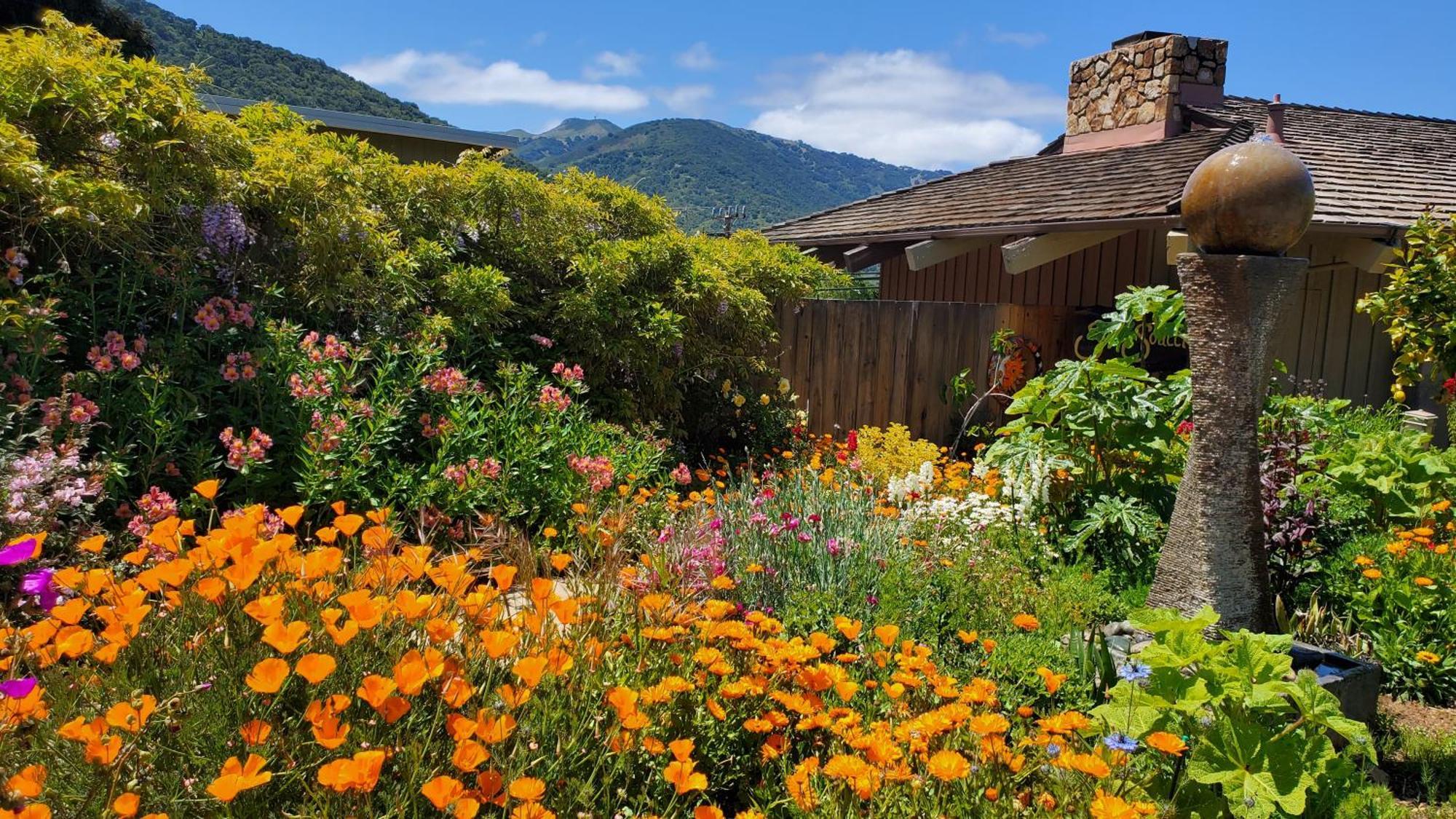 Carmel Valley Lodge Exterior photo